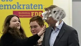 FDP leader Christian Lindner gets cake in the face during election campaign, slaps activist back