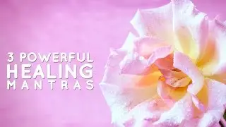 3 Powerful Healing Mantras - Physical Emotional and Spiritual Healing | Meditative Mind