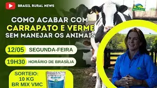 Como acabar com carrapato e verme sem manejar os animais