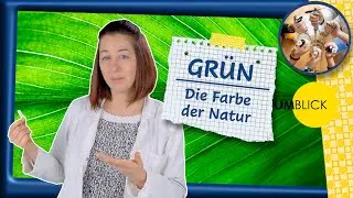 Gr&uuml;n - die Farbe der Natur│Photosynthese│Gemeinsam Daheim