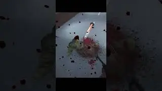 ObsUT - Bayolife!