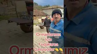 Sakarya Geyve Aydınlar K&ouml;y&uuml;#keşfet #travel #sakarya#geyve#&ccedil;amlık#keşfetteyiz #gezi#orman#doğa#k&ouml;y