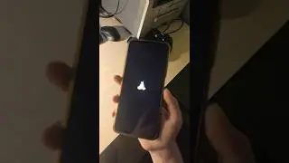 Что это? #POCO #RIP #Android #MIUI #Linux #Ошибка