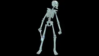 Frozen Skeleton Caster DPS Mercenary