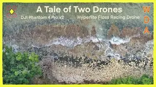 Drone Mashup #1 || DJI Phantom 4 Pro with Hyperlite Floss Custom Race Drone Freestyle || I'm A Dude