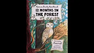 Flip through of 12 Months in the Forest by The Thinking Tree Books