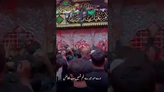 Arbaeen   Syed O Shohda Imam Hussain A S Karbala Mai   Mirza Dabeer