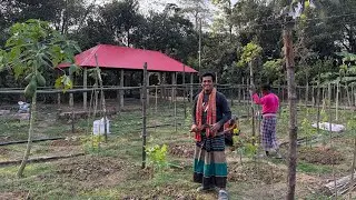 বন্ধুর গাছের উবাহাইরা তাল #farmerlife #happyfarmer