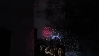 London NYE 2025 (View from St. James's Park)