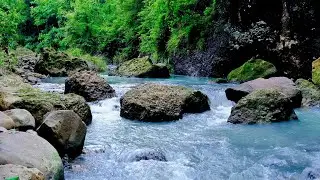 Soft Water Sounds from a Secluded Forest River - Natural White Noise for Deep Relaxation and Sleep