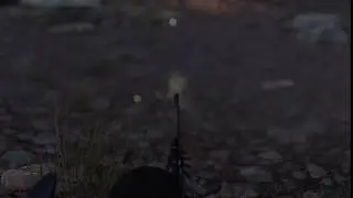 Buttshot