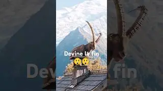 devine la fin #beats #slowedandreverb #ski #free