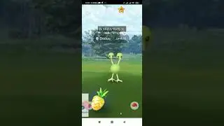 Catching shiny Dodou and evolving it into shiny Dodrio