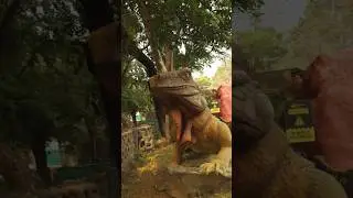 Reptile Power in 11 Seconds | Iguana & Snake | Cinematic Wildlife #shorts#reptiles