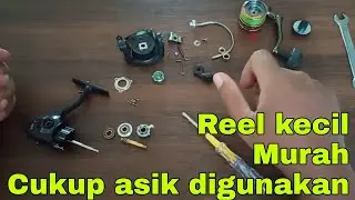 Review dan Bongkar Reel Daido Devil Spin X 800