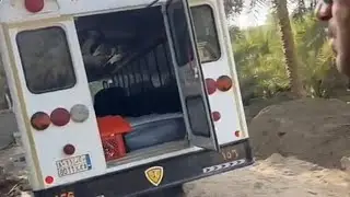 علاج الذبان