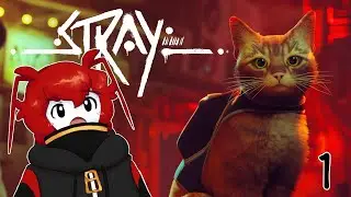 Stray [Part 1 of 2] || Macrackle VOD (07/20/2022)