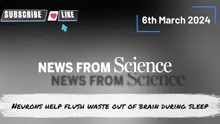 Sleep well to remove brain waste preventing #alzheimer #parkinson @ParkinsonDotOrg #trendingscience