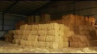 AP exports CocoPeat factory