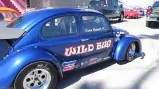 Las Vegas Bugorama Oct 10th 2015 Wild Bug