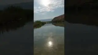 Peaceful River Sounds with Sunlight Reflection | Relaxing Nature Video