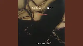 Slow Sense