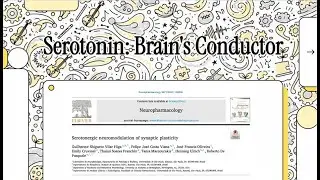 How Serotonin Shapes the Brain: Synaptic Plasticity, Learning, Emotional Balance (Higa et al., 2024)