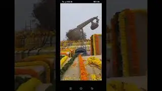 #viral