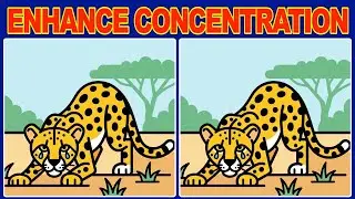 Genius Level Spot the Difference: Only 1% Can Solve! (10-Minute Brain Workout)