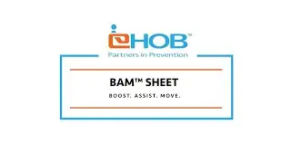 EHOB BAM&trade; Sheet