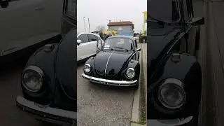 Citro&euml;n Axel e WW Maggiolino