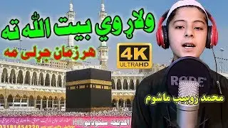 Muhammad Zohaib New Pashto HD Naat || Walarr we bait ullah ta har zan jarrali ma