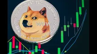 'The Most Honest Shtcoin' Dogecoin Will Survive Alongside Bitcoin