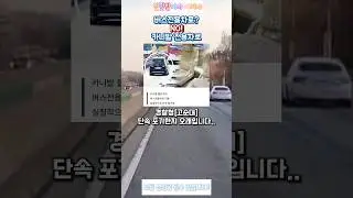 단속이 안되면 법을 바꿔야죠../버스전용차로 카니발