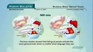 Science Bulletins: Bilingual Brain 'Switch' Found