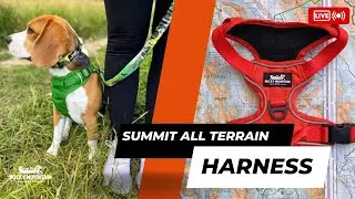 Rocky Mountain Dog All Terrain Harness Product Demo