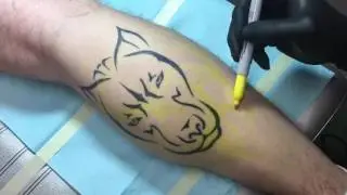 B&G lion cover up