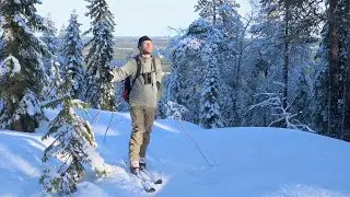Deep into the Winter Forest