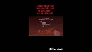 Liveluc killt YAMI ... #minecraft  #tiktok #pvp #viral #memes #tiktokviral