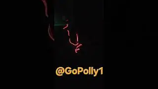 Polly gets electric! Electroluminescent wire!