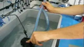 LE30-LP30 - SNORKELING