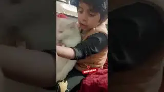 Cute🐱🥰 cato#plzsubscribemychannel #funnyanimals #catslover#babycat #pets 😍#naughty #meaowsong #pk#uk