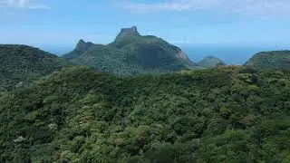 Floresta da Tijuca - Alto da Boa Vista