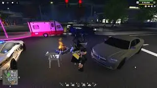 Trolling The Police In Emergency Response: Liberty County (Camping In The Middle Of The Road)