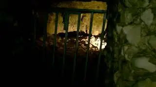 Grimes Graves - Neolithic Flint Mines
