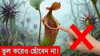 মানুষ খেকো গাছ কি সত্যিই আছে ? [ পৃথিবীর ৫টি ভয়ঙ্কর গাছ ] #facts