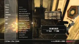 Elder Scrolls V: Skyrim- Do Not Delete Chest