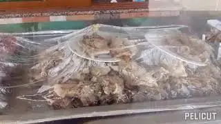 مقهى مطعم الخفة بعين لحصن يرحب بكم ويدعوكم للاستمتاع بمأكولاته من مشويات واسماك بأثمنة مناسبة
