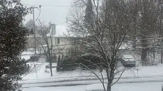 (LIVE) Sleeping during a snowstorm ❄️☃️🌨️🤍💤