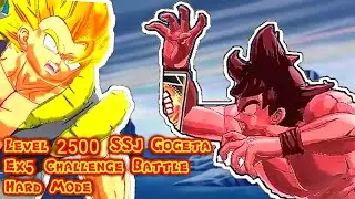 EX5 challenge Battle(Hard) Level 2500 SSJ Gogeta Fight ! Db Legends